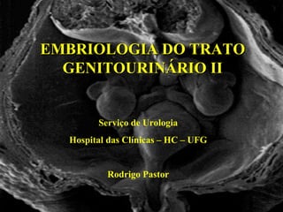 EMBRIOLOGIA DO TRATO GENITOURINÁRIO II Serviço de Urologia Hospital das Clínicas – HC – UFG Rodrigo Pastor 