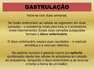 GASTRULAÇÃO
              Inicia-se com duas semanas.

 No botão embrionário as células se organizam em duas
 camadas – o ectoderma (mais para fora) e o endoderma
  (mais internamente). Essas duas camadas justapostas
              formam o disco embrionário.

 O disco embrionário separa duas cavidades – a vesícula
            amniótica e a vesícula vitelínica.

     Na espécie humana a gástrula ocorre por epibolia
 (proliferação rápida das células do ectoderma em relação
ao endoderma, obrigando o disco embrionário a se recurvar
                e tomar a forma de um balão).
 