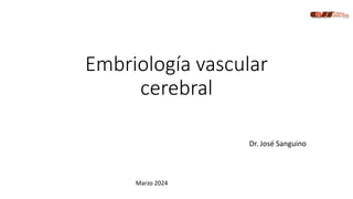 Embriología vascular
cerebral
Dr. José Sanguino
Marzo 2024
 
