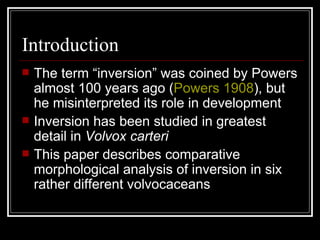 Embrionic Inversion in Volvox | PPT