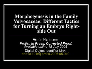 Morphogenesis in the Family Volvocaceae: Different Tactics for Turning an Embryo Right-side Out Armin Hallmann   Protist,  In Press, Corrected Proof , Available online 18 July 2006   Digital Object Identifier Link:  doi:10.1016/j.protis.2006.05.010   