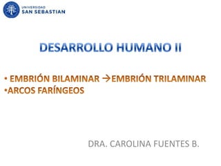 DESARROLLO HUMANO II ,[object Object]