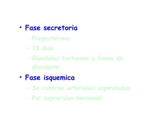 Fase secretoria Progesterona 13 dias Glandulas tortuosas y llenas de glucogeno Fase isquemica Se contrae arteriolas espiraladas Por suprersion hormonal 