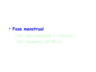 Fase menstrual Cae capa esponjosa o funcional Vol. Sanguineo 60-80 cc. 