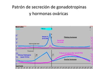 Patrón de secreción de gonadotropinas y hormonas ováricas   