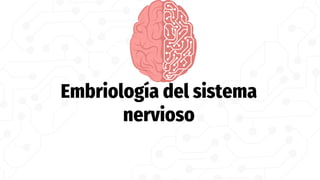 Embriología del sistema
nervioso
 