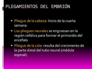PLEGAMIENTOS DEL EMBRIÓN
 Pliegue de la cabeza: Inicio de la cuarta
semana
 Los pliegues neurales se engruesan en la
región cefálica para formar el primordio del
encéfalo
 Pliegue de la cola: resulta del crecimiento de
la parte distal del tubo neural.(médula
espinal).
 