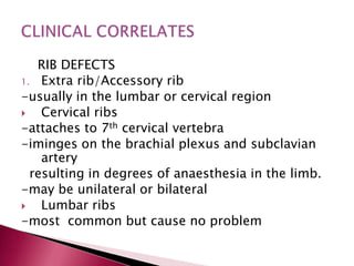 RIB DEFECTS
1. Extra rib/Accessory rib
-usually in the lumbar or cervical region

Cervical ribs
-attaches to 7th cervical vertebra
-iminges on the brachial plexus and subclavian
artery
resulting in degrees of anaesthesia in the limb.
-may be unilateral or bilateral

Lumbar ribs
-most common but cause no problem

 