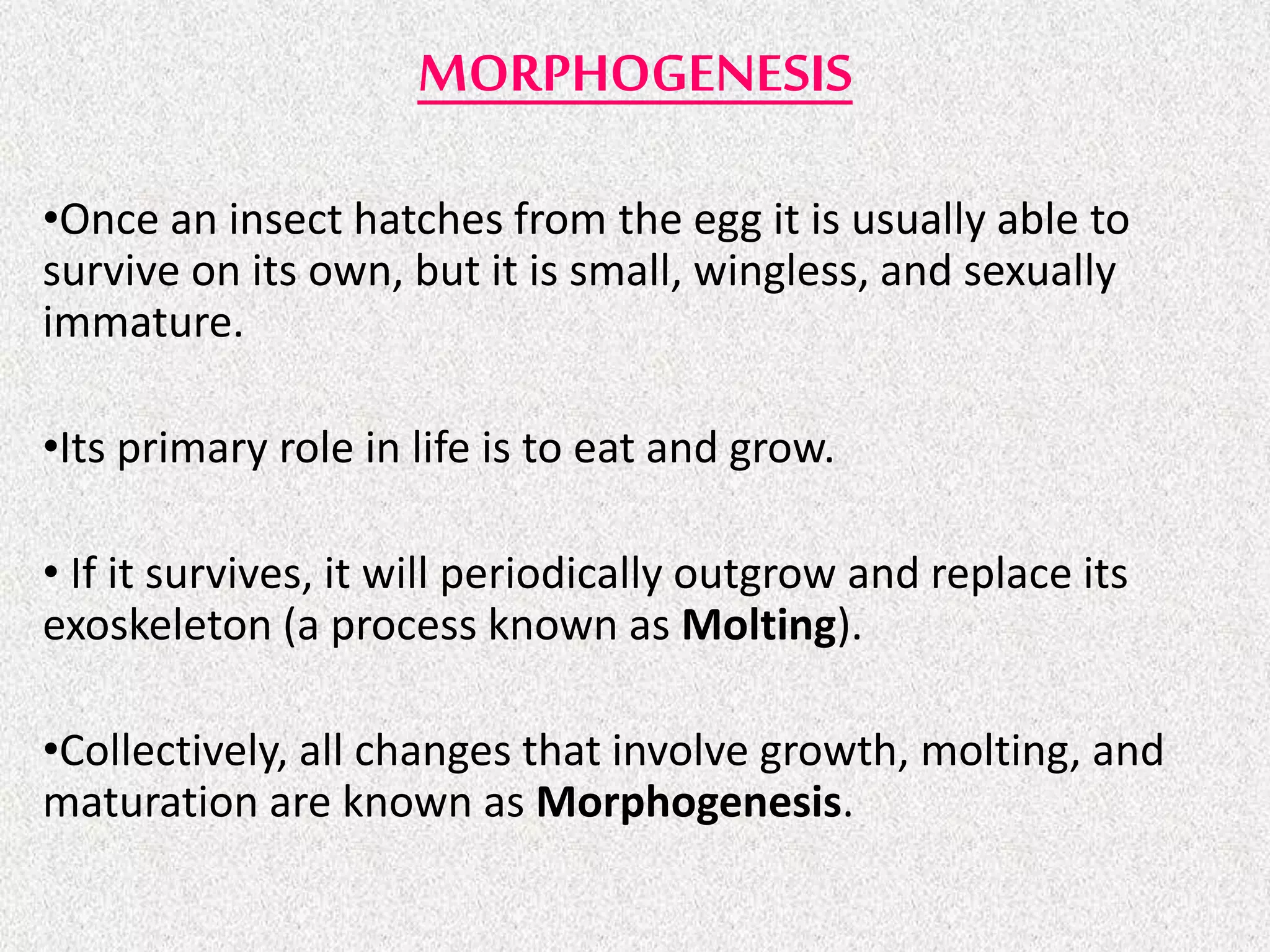 MORPHOGENESIS
•Once an insect hatches from the egg it is usually able to
survive on its own, but it is small, wingless, and sexually
immature.
•Its primary role in life is to eat and grow.
• If it survives, it will periodically outgrow and replace its
exoskeleton (a process known as Molting).
•Collectively, all changes that involve growth, molting, and
maturation are known as Morphogenesis.
 