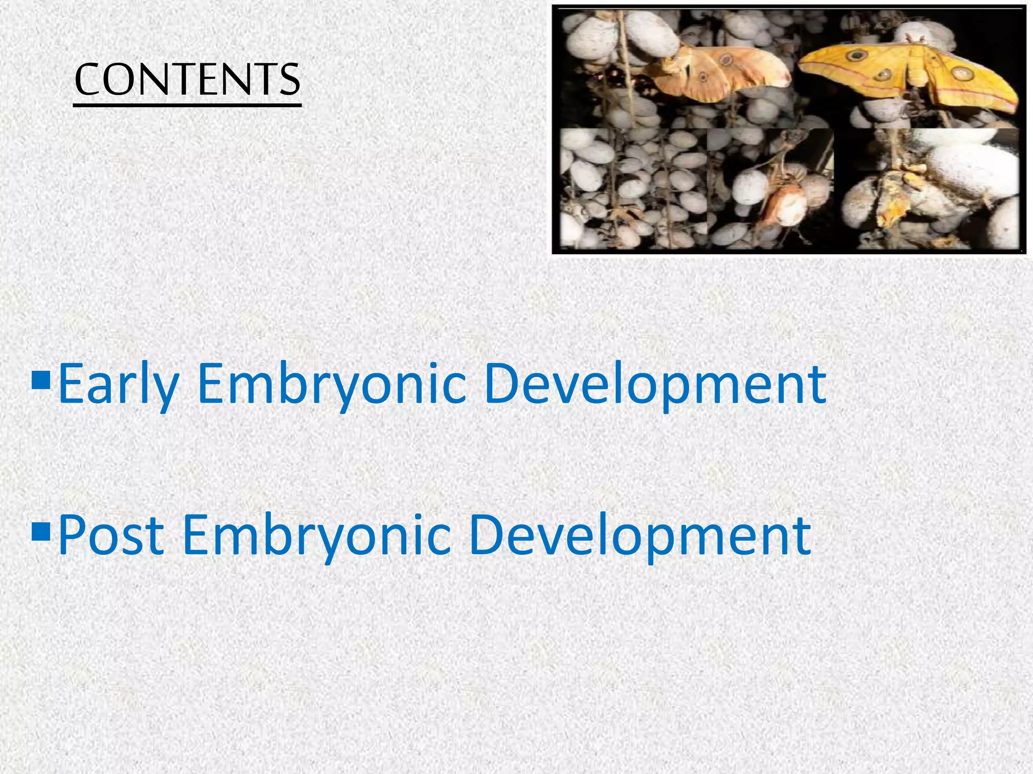 CONTENTS
Early Embryonic Development
Post Embryonic Development
 