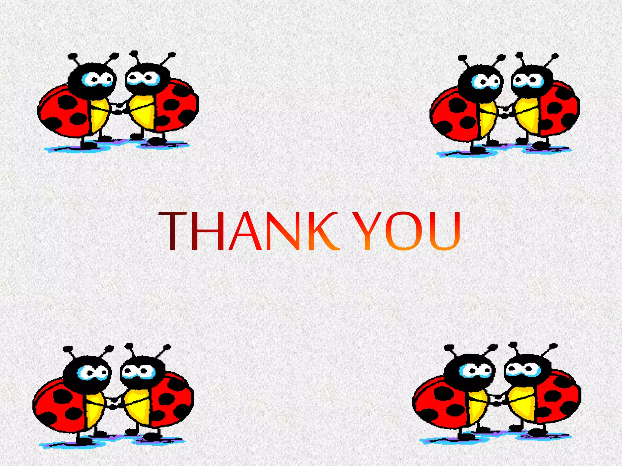 Embryological development in insect