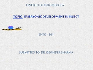 DIVISION OF ENTOMOLOGY
ENTO - 501
SUBMITTED TO: DR. DEVINDERSHARMA
 