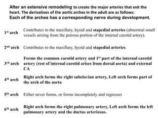 Comprehensive Embryology of the Heart and Great Vessels Development | PDF