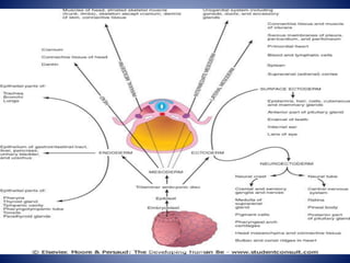 hassaan.ali@aswu.ed.eg
 