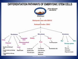 hassaan.ali@aswu.ed.eg
 