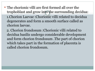 embrology of placentaa formation.pptx