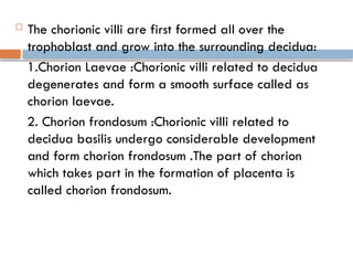 embrology placenta formation anatomy bams .pptx
