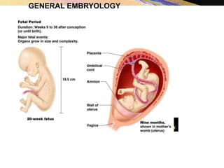 Embryology
GENERAL EMBRYOLOGY
 