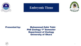 Embryonic Tissue
Presented by: Muhammad Zahir Tahir
PhD Zoology 1st Semester
Department of Zoology
University of Okara
1
 