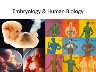 Embryology & Human Biology
 