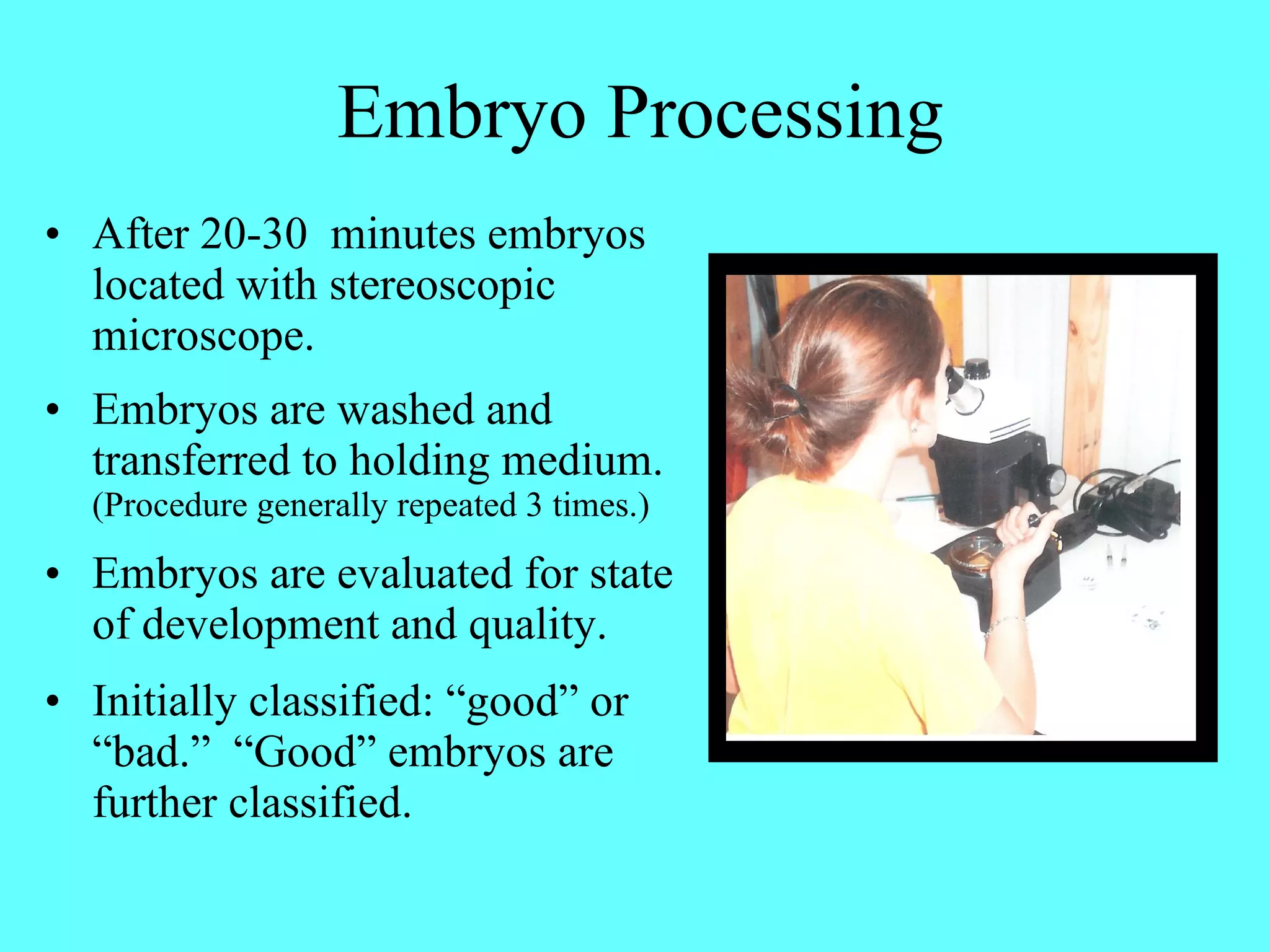 Embryo Processing After 20-30  minutes embryos located with stereoscopic microscope. Embryos are washed and transferred to holding medium.  (Procedure generally repeated 3 times.) Embryos are evaluated for state of development and quality. Initially classified: “good” or “bad.”  “Good” embryos are further classified. 