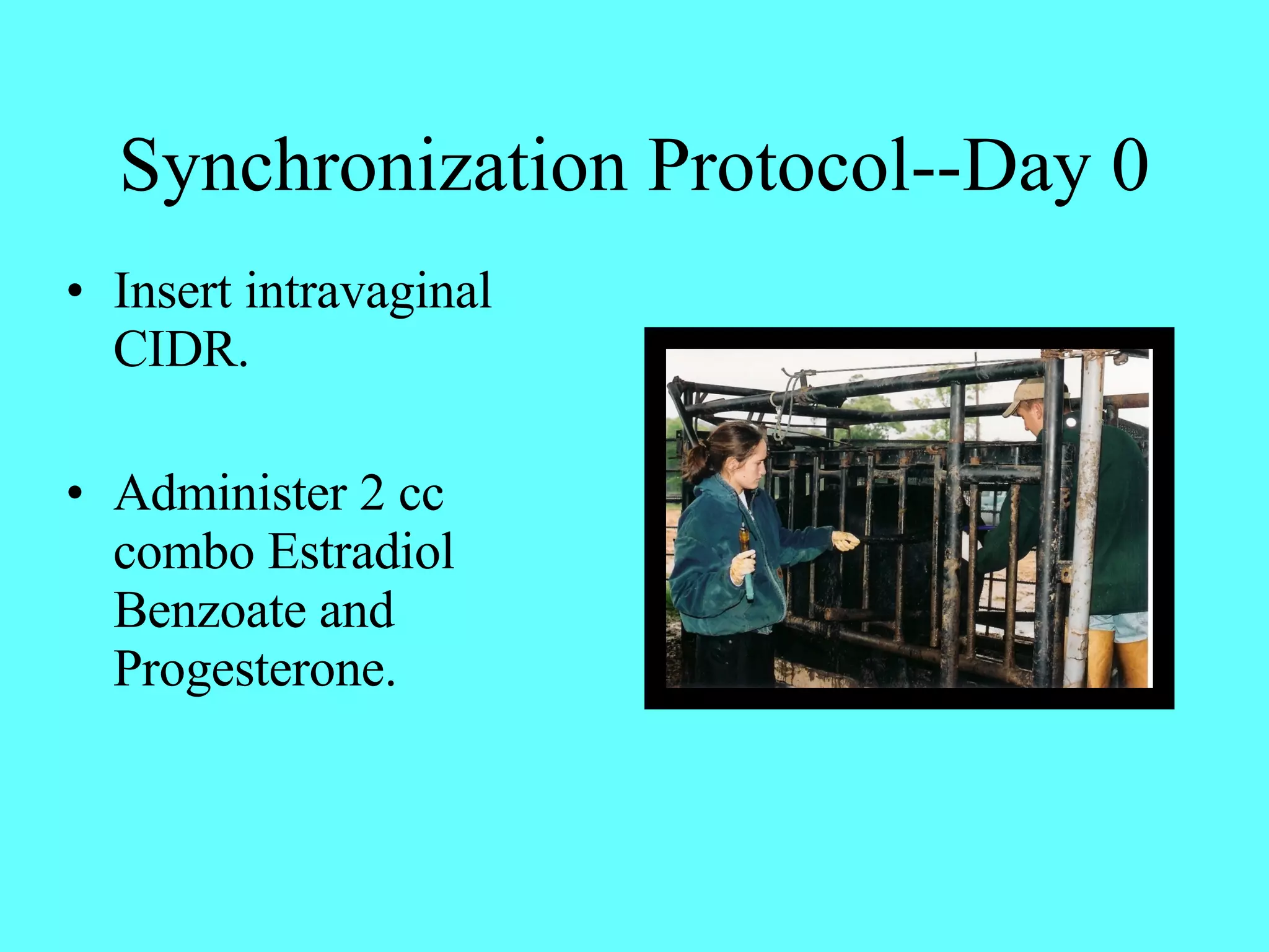 Synchronization Protocol--Day 0 Insert intravaginal CIDR. Administer 2 cc combo Estradiol Benzoate and Progesterone. 