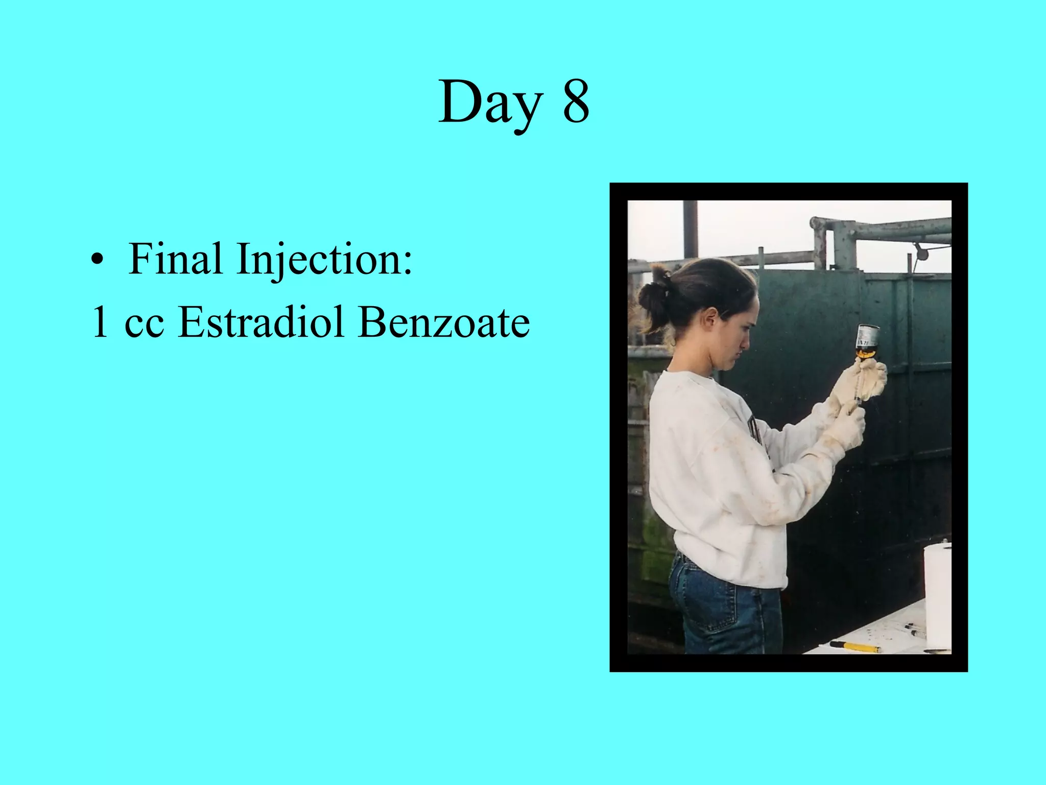 Day 8  Final Injection: 1 cc Estradiol Benzoate 