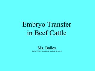 Embryo Transfer 
in Beef Cattle 
Ms. Bailes 
AGSC 336 – Advanced Animal Science 
 