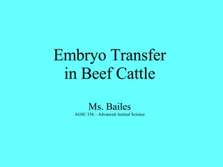 Embryo Transfer in Beef Cattle Ms. Bailes AGSC 336 – Advanced Animal Science 