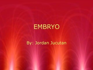 EMBRYO By: Jordan Jucutan 