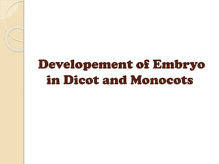 Developement of Embryo
in Dicot and Monocots
 