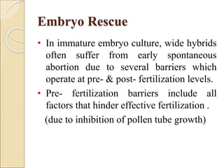 embryo-culture plant tissues culture.ppt