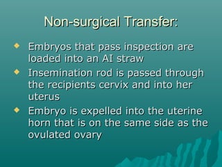 NNoonn--ssuurrggiiccaall TTrraannssffeerr:: 
 EEmmbbrryyooss tthhaatt ppaassss iinnssppeeccttiioonn aarree 
llooaaddeedd iinnttoo aann AAII ssttrraaww 
 IInnsseemmiinnaattiioonn rroodd iiss ppaasssseedd tthhrroouugghh 
tthhee rreecciippiieennttss cceerrvviixx aanndd iinnttoo hheerr 
uutteerruuss 
 EEmmbbrryyoo iiss eexxppeelllleedd iinnttoo tthhee uutteerriinnee 
hhoorrnn tthhaatt iiss oonn tthhee ssaammee ssiiddee aass tthhee 
oovvuullaatteedd oovvaarryy 
 