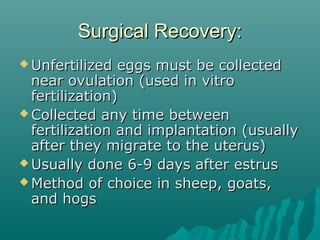 SSuurrggiiccaall RReeccoovveerryy:: 
UUnnffeerrttiilliizzeedd eeggggss mmuusstt bbee ccoolllleecctteedd 
nneeaarr oovvuullaattiioonn ((uusseedd iinn vviittrroo 
ffeerrttiilliizzaattiioonn)) 
CCoolllleecctteedd aannyy ttiimmee bbeettwweeeenn 
ffeerrttiilliizzaattiioonn aanndd iimmppllaannttaattiioonn ((uussuuaallllyy 
aafftteerr tthheeyy mmiiggrraattee ttoo tthhee uutteerruuss)) 
UUssuuaallllyy ddoonnee 66--99 ddaayyss aafftteerr eessttrruuss 
MMeetthhoodd ooff cchhooiiccee iinn sshheeeepp,, ggooaattss,, 
aanndd hhooggss 
 