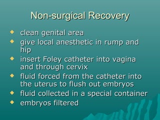 NNoonn--ssuurrggiiccaall RReeccoovveerryy 
 cclleeaann ggeenniittaall aarreeaa 
 ggiivvee llooccaall aanneesstthheettiicc iinn rruummpp aanndd 
hhiipp 
 iinnsseerrtt FFoolleeyy ccaatthheetteerr iinnttoo vvaaggiinnaa 
aanndd tthhrroouugghh cceerrvviixx 
 fflluuiidd ffoorrcceedd ffrroomm tthhee ccaatthheetteerr iinnttoo 
tthhee uutteerruuss ttoo fflluusshh oouutt eemmbbrryyooss 
 fflluuiidd ccoolllleecctteedd iinn aa ssppeecciiaall ccoonnttaaiinneerr 
 eemmbbrryyooss ffiilltteerreedd 
 