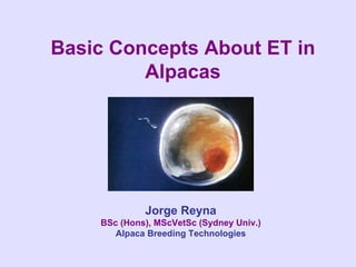 Basic Concepts About ET in Alpacas Jorge Reyna BSc (Hons), MScVetSc (Sydney Univ.) Alpaca Breeding Technologies 