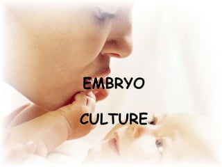 EMBRYO
CULTURE
 