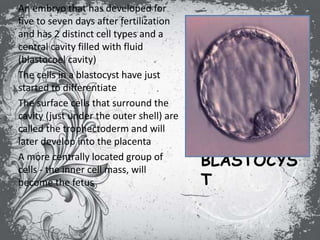 BLASTOCYS
T
An embryo that has developed for
five to seven days after fertilization
and has 2 distinct cell types and a
central cavity filled with fluid
(blastocoel cavity)
The cells in a blastocyst have just
started to differentiate
The surface cells that surround the
cavity (just under the outer shell) are
called the trophectoderm and will
later develop into the placenta
A more centrally located group of
cells - the inner cell mass, will
become the fetus
 