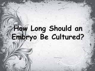 How Long Should an
Embryo Be Cultured?
 