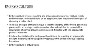 EMBRYO CULTURE
• Embryo culture involves isolating and growing an immature or mature zygotic
embryo under sterile conditions on an aseptic nutrient medium with the goal of
obtaining a viable plant.
• The basic principle of this technique is that the integrity of the hybrid genome is
preserved in an embryo that is stunted or aborted and that its potential for
resumption of normal growth can be realized if it is fed with the appropriate
growth substances.
• It is based on isolating the embryo without injury, formulating an appropriate
nutrient medium and inducing embryogenic growth and continuous seedling
formation.
• Embryo culture is of two types.
 