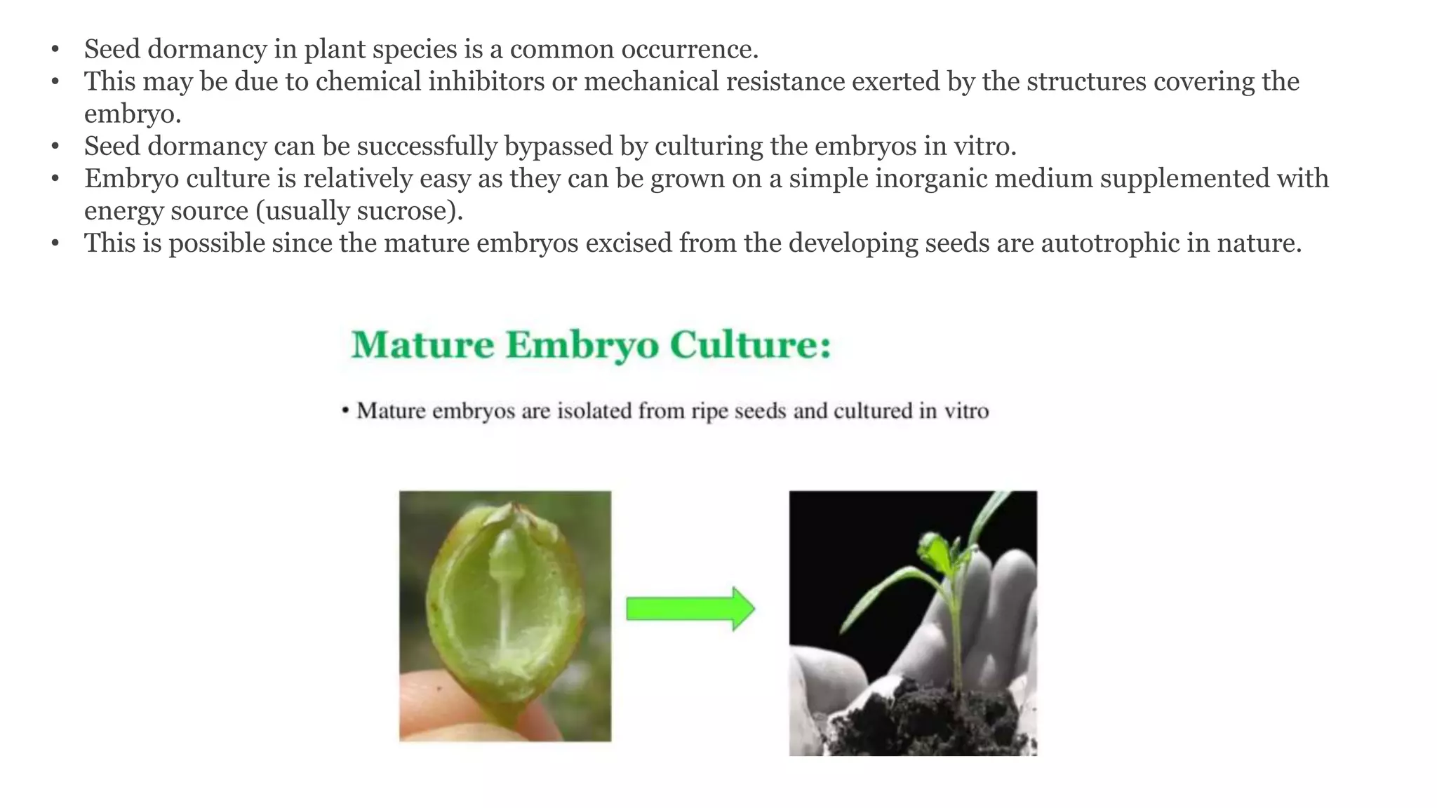 Embryo culture and embryo rescue technique | PPTX