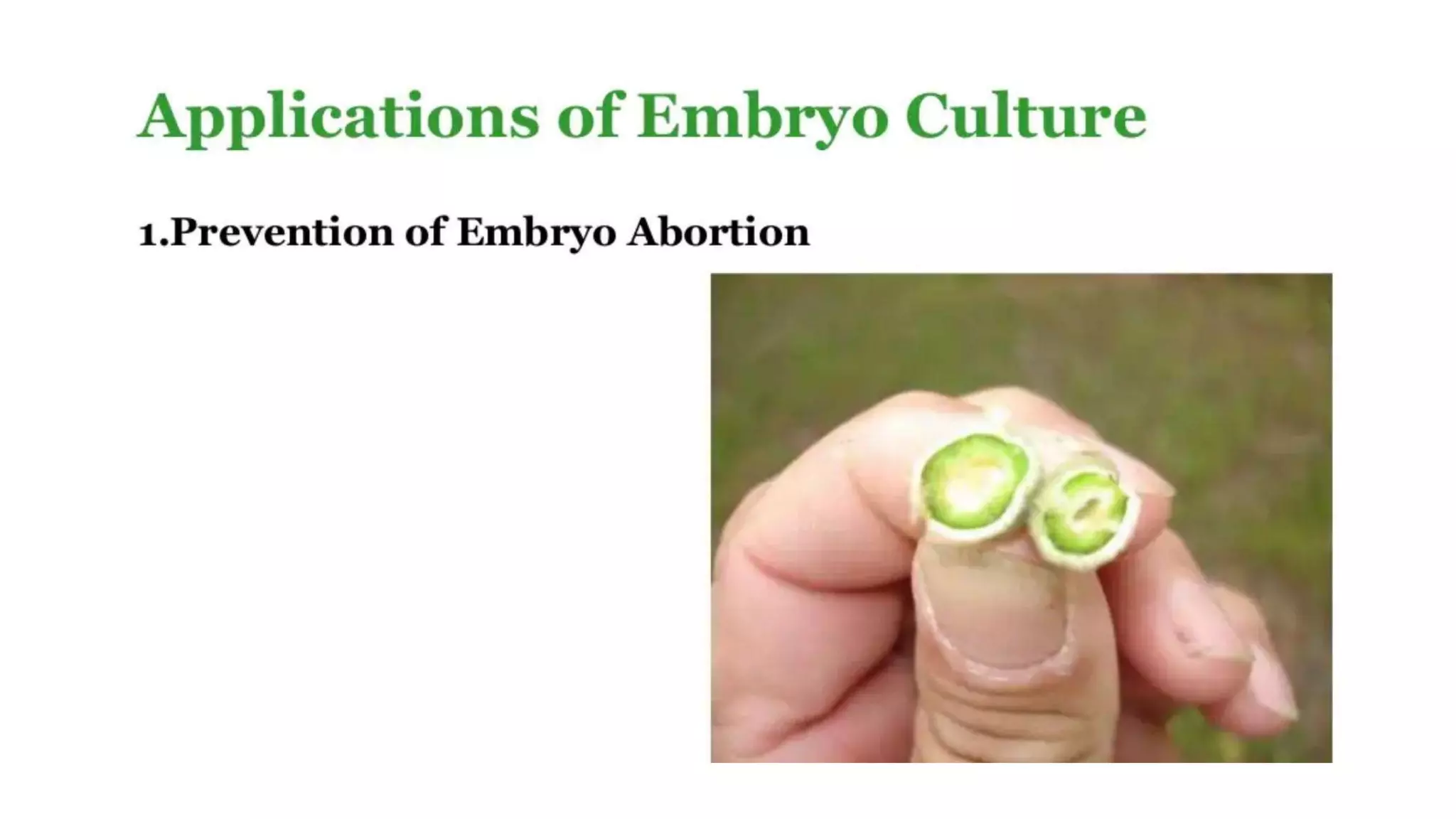 Embryo culture and embryo rescue technique | PPTX
