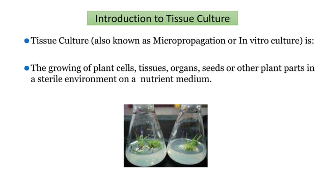 Embryo culture and embryo rescue technique | PPTX
