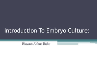 Introduction To Embryo Culture:
Rizwan Abbas Baho
 