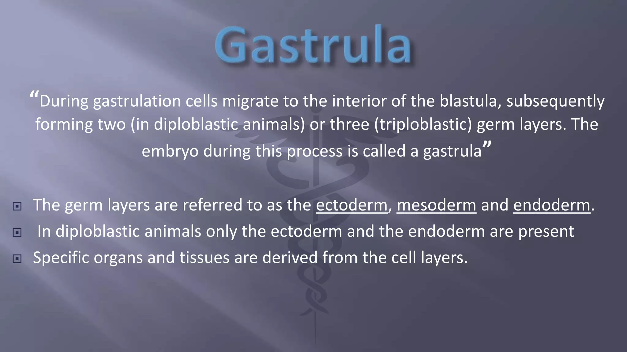 “During gastrulation cells migrate to the interior of the blastula, subsequently
forming two (in diploblastic animals) or three (triploblastic) germ layers. The
embryo during this process is called a gastrula”
 The germ layers are referred to as the ectoderm, mesoderm and endoderm.
 In diploblastic animals only the ectoderm and the endoderm are present
 Specific organs and tissues are derived from the cell layers.
 