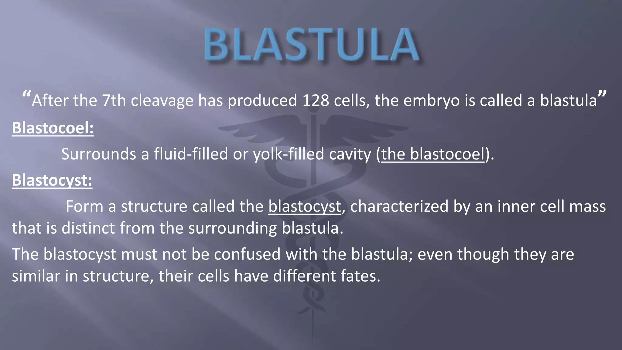 “After the 7th cleavage has produced 128 cells, the embryo is called a blastula”
Blastocoel:
Surrounds a fluid-filled or yolk-filled cavity (the blastocoel).
Blastocyst:
Form a structure called the blastocyst, characterized by an inner cell mass
that is distinct from the surrounding blastula.
The blastocyst must not be confused with the blastula; even though they are
similar in structure, their cells have different fates.
 