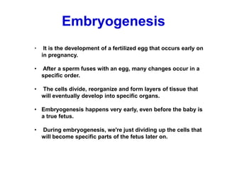 Embryogenesis
• It is the development of a fertilized egg that occurs early on
in pregnancy.
• After a sperm fuses with an egg, many changes occur in a
specific order.
• The cells divide, reorganize and form layers of tissue that
will eventually develop into specific organs.
• Embryogenesis happens very early, even before the baby is
a true fetus.
• During embryogenesis, we're just dividing up the cells that
will become specific parts of the fetus later on.
 