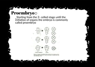 Proembryo :-
_Star�ng from the 2- celled stage un�l the
ini�a�on of organs the embryo is commonly
called proembryo
 