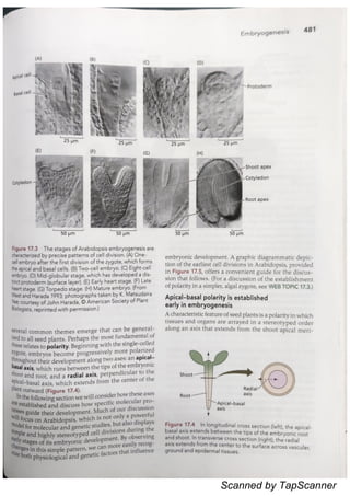 Embryogenesis_Taiz and Zaiger.pdf