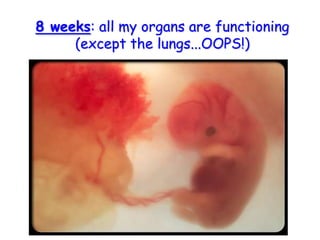 8 weeks: all my organs are functioning (except the lungs...OOPS!)